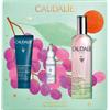 Caudalie Acqua Di Bellezza Cofanetto Regalo con Maschera Instant Detox 15 ml + Siero Illuminante Anti-macchie 10 ml + Acqua di Bellezza 100 ml