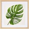 Heimwohl Cornice portafoto 25 x 25 cm, 1 pezzo