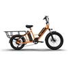 E MOTORAD - RIDE THE ELECTRIC REVOLUTION EMotorad G1 Cargo Bici Cargo Elettrica, 250 W, Doppia Batteria | Autonomia fino a 100 km, freni idraulici, portapacchi fino a 50 kg, sospensione anteriore da 80 mm