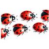 LaoGraphics 8 adesivi realistici in vinile a forma di coccinella, coprono segni, multiuso, ideali per telefono, tazze, piastrelle, WC, auto, laptop, vetro, parete e altro ancora. Non trasparenti, resistenti alle