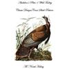M Norah Halsey Audubon's Plate 1 Wild Turkey (Tascabile)