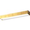 TopLight BIOS APPLIQUE PLAFONIERA BIEMISSIONE GRANDE FOGLIA ORO A LED 3000-4000K 24W 2640LM CON DIFFUSORE IN METACRILATO SATINATO