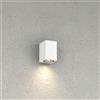 TopLight ATENE APPLIQUE MONOEMISSIONE 1 LUCE BIANCO IP65 IK04 ATTACCO GU10