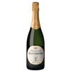 Ricci Curbastro Franciacorta Satèn Brut DOCG 2022 - Ricci Curbastro - 0.75L