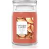 Yankee Candle Sugared Cinnamon Apple Sugared Cinnamon Apple 567 g