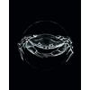 Komar Wandbild von Crab Black | Poster, Immagine, Wohnzimmer, Schlafzimmer, Dekoration, Kunstdruck | ohne Rahmen | P080D-40x50 Pittura murale, Polivinilcloruro (PVC), Nero, Bianco, 40 X 50 cm