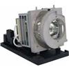 Vivid Lamp for OPTOMA EHSNZUST Original Inside Projector Lamp - Replaces BL-FU260B / S