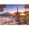 Ravensburger Spielverlag Puzzle, 1000 pezzi, Ciliegi in fiore sul Monte Fuji, Dai 14 anni in su, Alta qualità