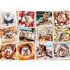 Ravensburger Spielverlag Puzzle, 1500 pezzi, Ravensburger, foto Animali carini, pazienza e concentrazione