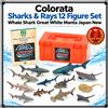 COLORATA Set 12 figure Squali e Raggi Colorata Squalo Balena Grande Manta Bianca...