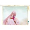 Calvendo Rosa Flamingo, puzzle da 1000 pezzi, formato orizzontale 640x480 mm, Hultsch Heike; 7287657