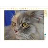 Calvendo Maine Coon 1000 Teile Puzzle quer 640x480mm, Chrystal Jennifer; 7377730