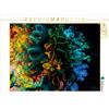 Calvendo: corallo duro e stella marina - Puzzle da 1000 pezzi, formato orizzontale 640x480 mm, Meutzner Dirk; 7312416