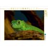 Calvendo Drago d'acqua verde 1000 pezzi puzzle paesaggio 640x480mm, Enkemeier Sigrid; 7371166