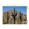 Calvendo ARIZONA Deserto di Sonora Puzzle da 1000 pezzi, formato orizzontale 640x480 mm, Viola Melanie; 7326556