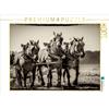 Calvendo: Aratura con tre cavalli, puzzle da 1000 pezzi, formato orizzontale 640x480 mm, Gaymard Alain; 7372538