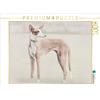 Calvendo Un motivo del calendario Podencos 2017 1000 pezzi puzzle paesaggio 640x480mm, Redecker Andrea; 7366666