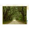 Calvendo Oak Alley, Botany Bay, Ediston Island, South Carolina, USA 1000 Teile Puzzle quer 640x480mm, Grosskopf Rainer; 7322784