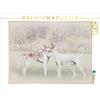 Calvendo Un motivo del calendario Podencos 2017 1000 pezzi puzzle paesaggio 640x480mm, Redecker Andrea; 7366671