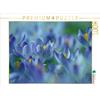Calvendo Sogno di primavera in blu 1000 pezzi puzzle paesaggio 640x480mm, Michel Susan; 7364304