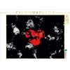 Calvendo - Adagiato sulle rose. Puzzle da 1000 pezzi, formato orizzontale 640x480 mm, Peter Hebgen; 7357099