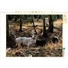 Calvendo Un motivo del calendario Unterwegs im Landsberger Wildpark 1000 pezzi puzzle paesaggio 640x480mm, Reichenauer Maria; 7344523