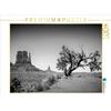 Calvendo MONUMENT VALLEY West Mitten Butte and Tree Puzzle da 1000 pezzi paesaggio 640x480mm, Viola Melanie; 7331303