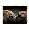Calvendo Due elefanti 1000 pezzi puzzle paesaggio 640x480mm, Dölling Angela; 7340637