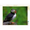 Calvendo Puffin 1000 pezzi puzzle paesaggio 640x480mm, Lupo Gerald; 7377708