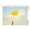 Calvendo Summerfeeling 1000 pezzi puzzle paesaggio 640x480mm, Dölling Angela; 7334567