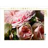 Calvendo La rosa - La regina dei fiori, puzzle da 1000 pezzi, formato orizzontale 640x480 mm, Cross Martina; 7321822