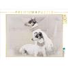 Calvendo Un motivo del calendario Bodeguero Andaluz 2017 1000 pezzi puzzle paesaggio 640x480mm, Redecker Andrea; 7367295