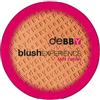 Debby blush Experience Mat Finish 05 Sunny