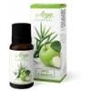Arya Hd Apple & Bamboo sinergie di oli essenziali Arya 10 ml