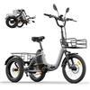 Antgooat AG1 Pro triciclo elettrico per adulti, bici elettrica a 3 ruote cargo, 48 V 20 Ah 960Wh, autonomia fino a 150 km, freni Shimano MT200, retromarcia, sblocco NFC ，portapacchi e cestini, pieghevole