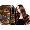 JELMOK 500ML Dark Brown Hair Dye Shampoo per Capelli 3 in 1, Shampoo Colorante Nero per Donna Uomo, Colorante Capelli Istantaneo, Hair Color - Naturale Colore per Donna Uomo (Dark Brown)