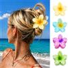 Peutpy 4 Pezzi Mollette a Forma di Fiore per Capelli,Mollette per Capelli a Forma di Fiore Hawaiano,clip per capelli per donne e ragazze,Accessori Moda,4 Colori Plastica Fermagli per Capelli Antiscivolo