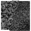 TIOPY Camouflage+Water Ripple H1H Bambu Lab Building Plate 257x257mm, 3D Double Sided Print H1H Spring Steel per Bambu Lab X2D X1 X1C X1E P1P P1S A1, Senza Base Magnetica
