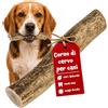 Chewpi Corno di Cervo per Cani M - Osso di Cervo per Cani Naturale | Lunga Durata per Masticatori Forti - Supporto Dentale