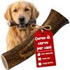 Chewpi Corno di Cervo per Cani XL - Osso di Cervo per Cani Naturale | Lunga Durata per Masticatori Forti - Supporto Dentale