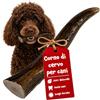 Chewpi Corno di Cervo per Cani S - Osso di Cervo per Cani Naturale | Lunga Durata per Masticatori Forti - Supporto Dentale