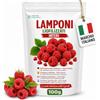 Detox Organica-Lamponi Liofilizzati -Busta Richiuibile da 100g | 100% Lamponi-Frutta Disidratata Croccante per Snack, Yogurt, Muesli e Dolci
