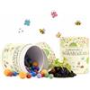 Die Stadtgärtner 100 biglie di fiori colorate Mein Naturteuer, arrotolate a mano, colorate, perfette per il compleanno dei bambini, regalo per bambini, 100% ecologiche e durano almeno 2 anni