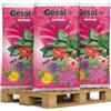 Generico Ge sal Terriccio Universale - Substrato di Qualità con Torba Sphagnum Nordica, Compost Ammendante e Nutrienti - Ideale per Fioriture, Ortaggi e Piante in Vaso 3 Sacchi X 80 L (Totale 240 LT)