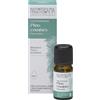 Purae Pino Cembro Purae Olio Essenziale 5ml