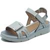Stonefly Elody 24 Lth Laser