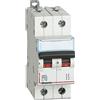 BTicino FN82C10 Interruttore Magnetotermico C10 2P 2M 6kA
