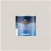 COLORIFICIO PARTENOPEO King NUVOLA, Smalto Acrilico all'acqua specifico per Termosifoni, finitura Brillante o Opaca e protezione dei Radiatori ad acqua (K127 TERMO OPACO, 100 ml)