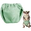 Generico Pannolini Criceto Pantaloncino Bagnato Assorbente Elastico Rapido per Urina | Pannolino Vita Regolabile Casa Viaggio Camping Scoiattolo Cavia Furetto Coniglio Petauro Zucchero
