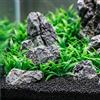 CAMETNG Pietre per acquario, 0,5 kg, mini paesaggio con erba artificiale per acquario, pietra Seiryu da 2-4 cm, per aquascaping, bonsai, giardini in miniatura, progetti fai da te, acquari e terrari